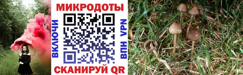 Псилоцибиновые грибы Magic Shrooms  Купить закладки  Кашира 